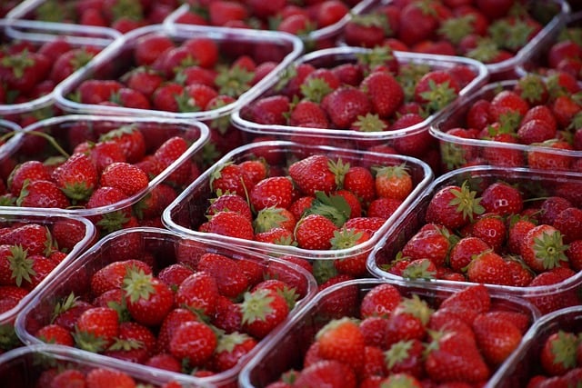 **"Smart Farming na Peryferiach: Jak precyzyjne rolnictwo zmienia krajobraz ekonomiczny zapomnianych obszarów?"** - 5 2025