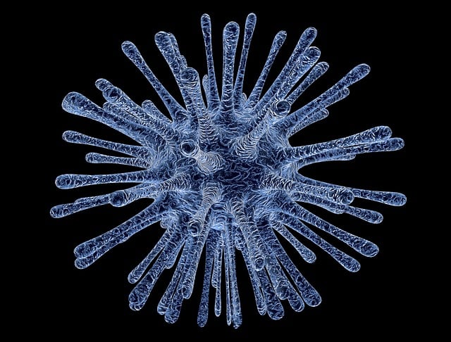 Biotechnologia w rolnictwie: Rewolucja w produkcji żywności - 3 2025