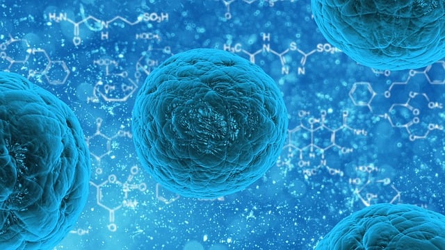 Biotechnologia w Przemyśle Farmaceutycznym: Nowe Horyzonty - 1 2025